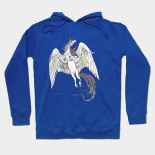 Unicorn Horses Pony Equine Equestrian Wings Winged Flying Yin Yang Hoodie